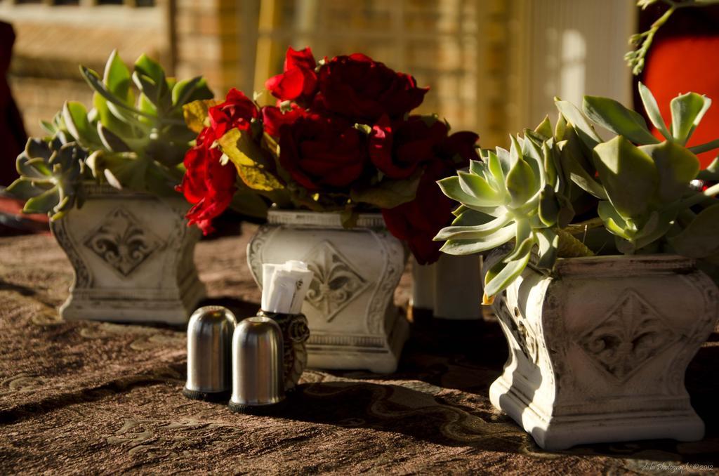 روستنبرج Boubou Bed And Breakfast المظهر الخارجي الصورة
